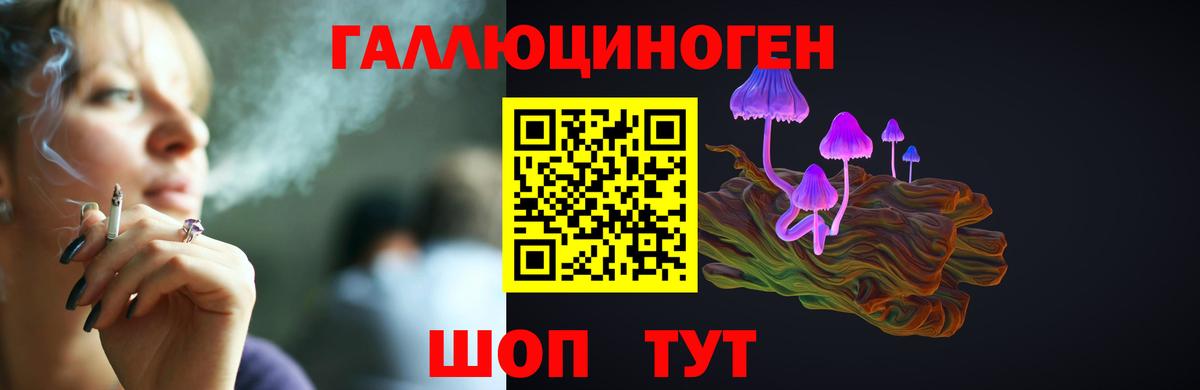 Псилоцибиновые грибы Psilocybe  Вход с VPN  Выборг 